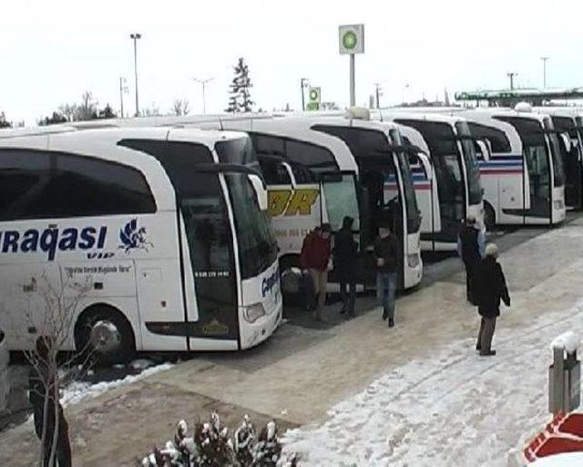 Kapanan Yol Nedeniyle 5 Büyükbaş Hayvan Donarak Telef Oldu