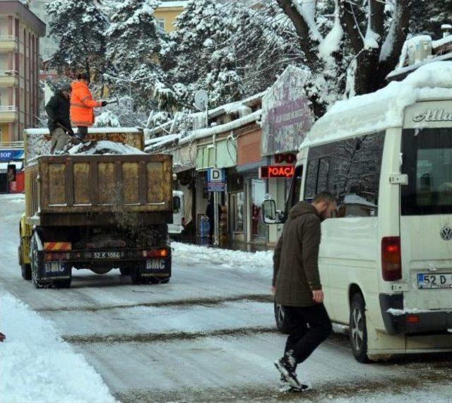 Ordu da Kar Hayatı Fel&ccedil; Etti 1