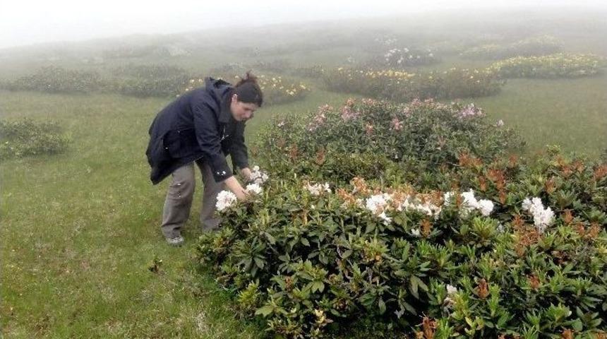Od&uuml;&rsquo;den B&uuml;y&uuml;k Başarı