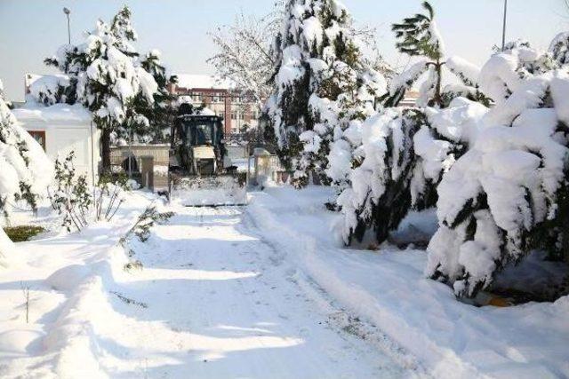 Denizli'de Kar Yağışı Durdu, Soğuk Hava Dondurdu (2)