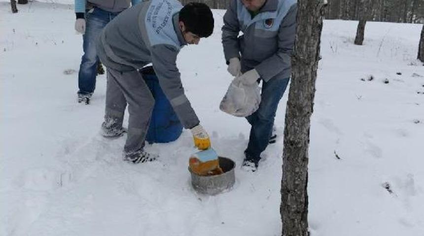 A&ccedil; Kalan Sokak Hayvanları I&ccedil;in Yem Bırakıldı