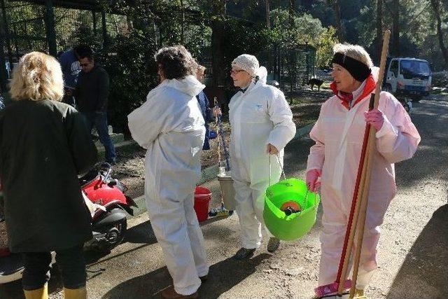 Köpek Ölümlerinin Yaşandığı Hayvan Barınağını İngilizler Temizledi