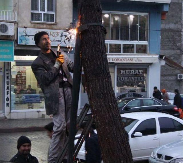 Rüzgarla Eğilen Ağacın Devrilmemesi Için Çabaladılar