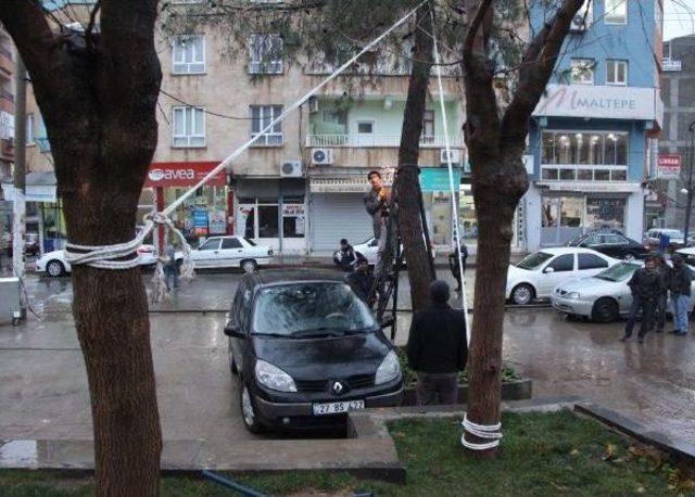 Rüzgarla Eğilen Ağacın Devrilmemesi Için Çabaladılar