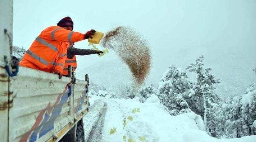 Erbaa'da Yaban Hayvanları I&ccedil;in Doğaya Yem Bırakıldı
