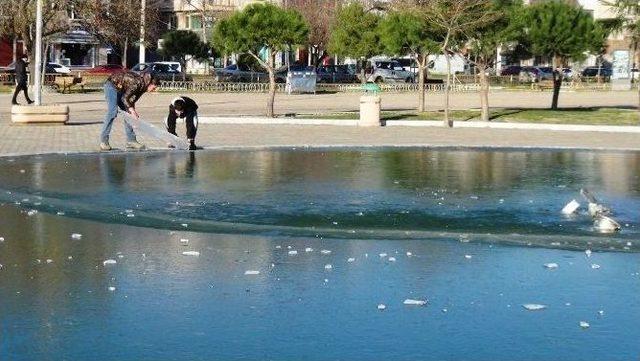 Tekirdağ’da Kiraz Heykeli Ve Süs Havuzları Buz Tuttu