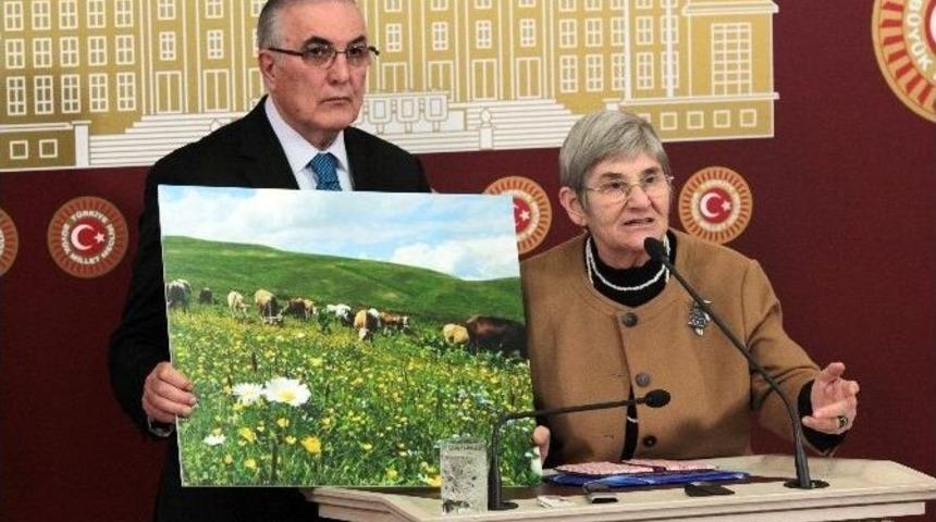 Canan Karatay Milletvekillerine &Ouml;nerilerde Bulundu