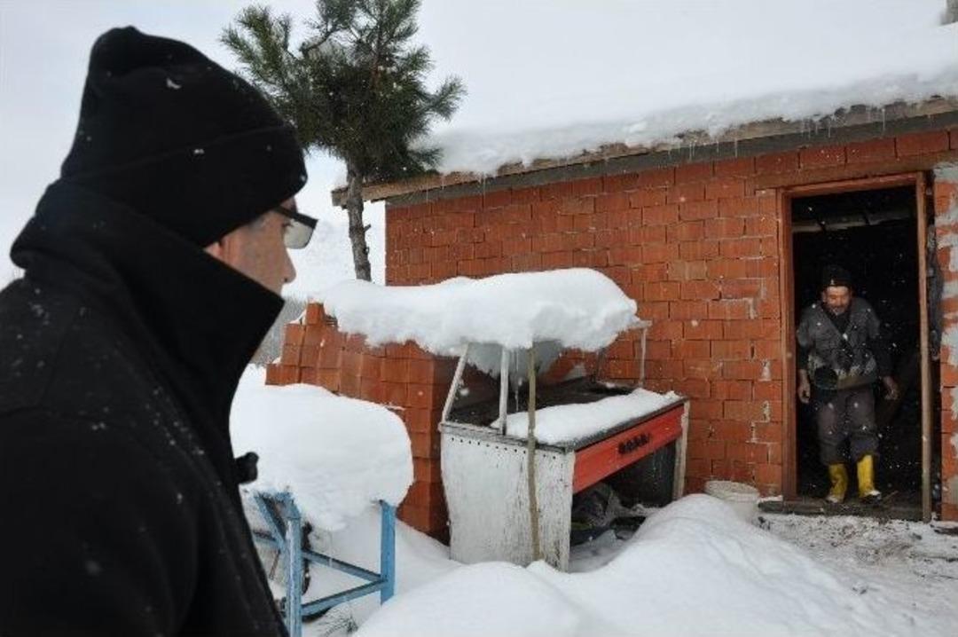 Isıtmak İ&ccedil;in Yakılan Soba 5 Hayvanı Telef Etti