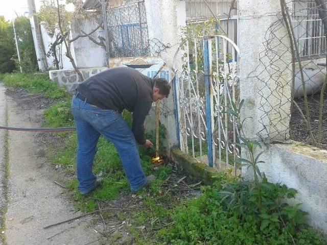 Bodrum’da Belediyeden Kaçak Reklama Geçit Yok