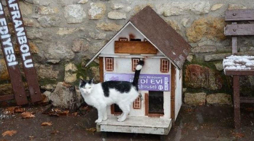 Sokak Kedileri İ&ccedil;in Safranbolu Mimarisinde Evler Yapıldı