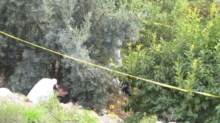 Bah&ccedil;ede Derisi Y&uuml;z&uuml;lm&uuml;ş Ceset Bulundu