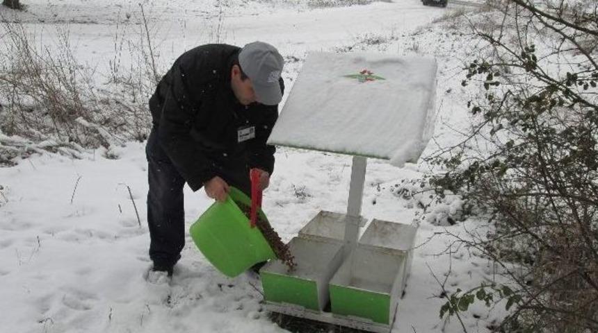 Kuşlar A&ccedil; Kalmasın Diye Karla Kaplı Ağa&ccedil;lara Ekmek Bağladılar...(&ouml;zel Haber)