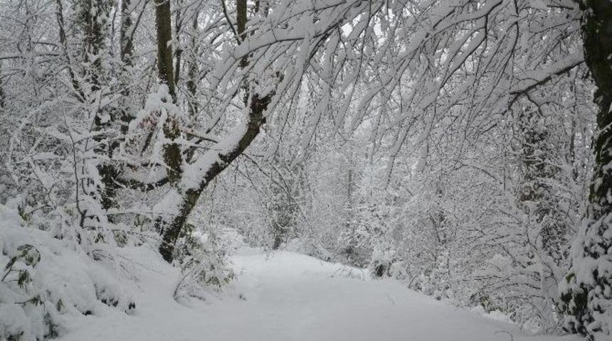 Zonguldak&rsquo;ta 142 K&ouml;y Yolu Ulaşıma Kapalı