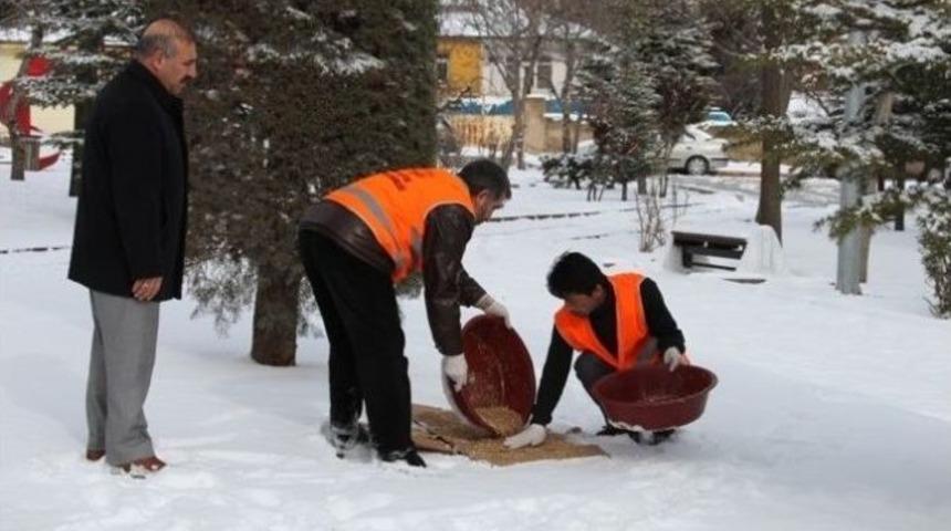Belediye A&ccedil; Kalan Kuşlar İ&ccedil;in Yem Bıraktı