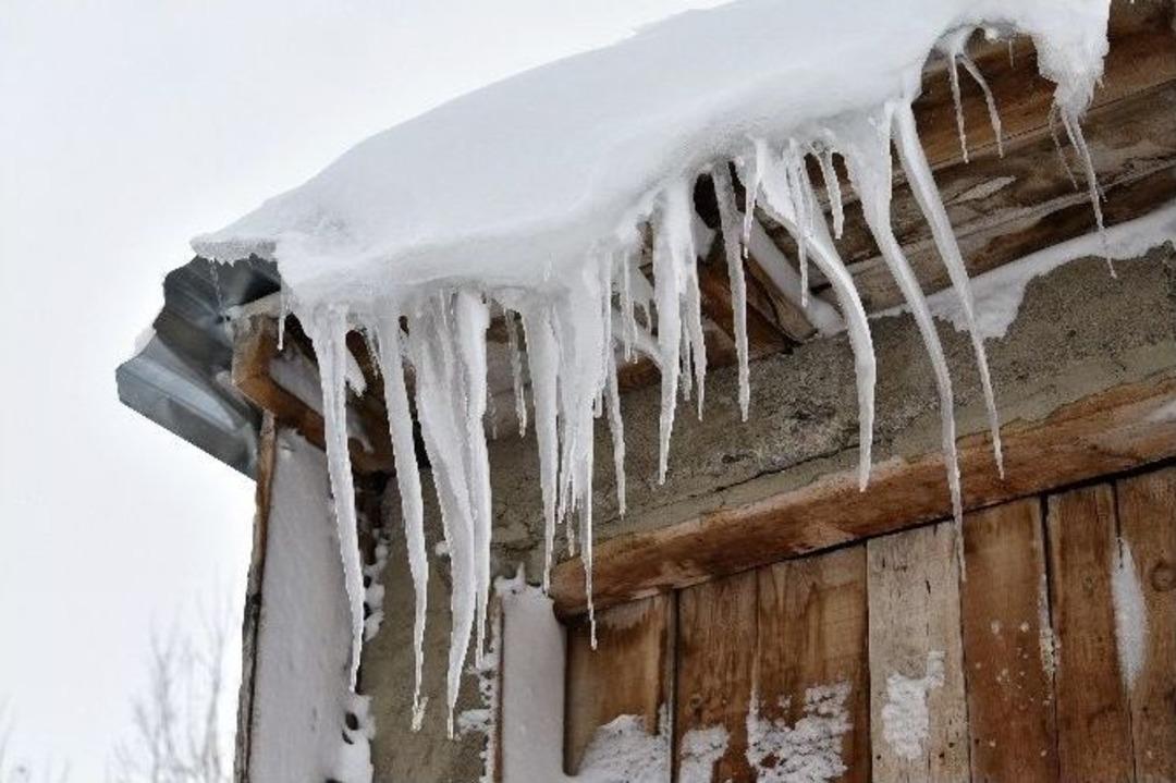 G&uuml;m&uuml;şhane Buz Tuttu