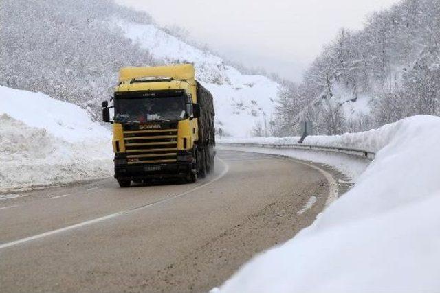 Bursa'da ‘Beyaz Esaret' Son Buluyor