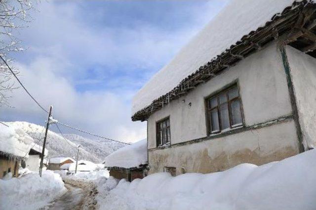 Bursa'da ‘Beyaz Esaret' Son Buluyor