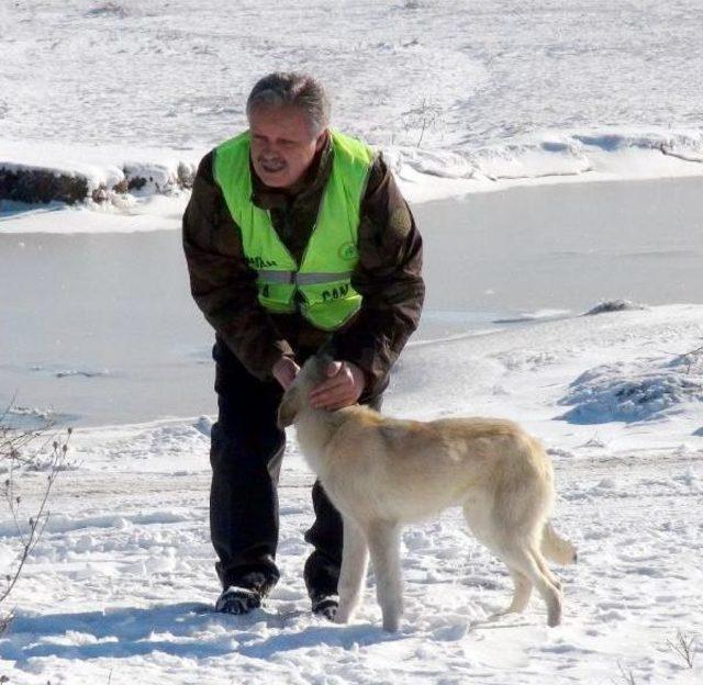 Vali Kampanya Başlattı; 'erzincan Yabana Can'