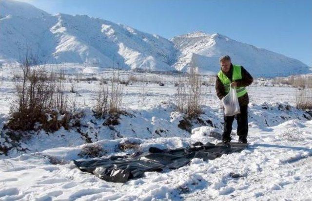 Vali Kampanya Başlattı; 'erzincan Yabana Can'