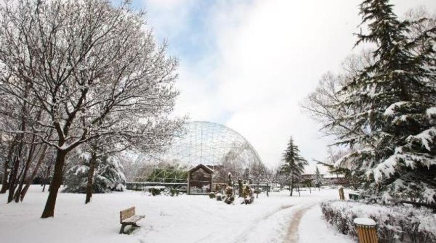 Bursa Hayvanat Bah&ccedil;esi'ne Rekor Ziyaret&ccedil;i