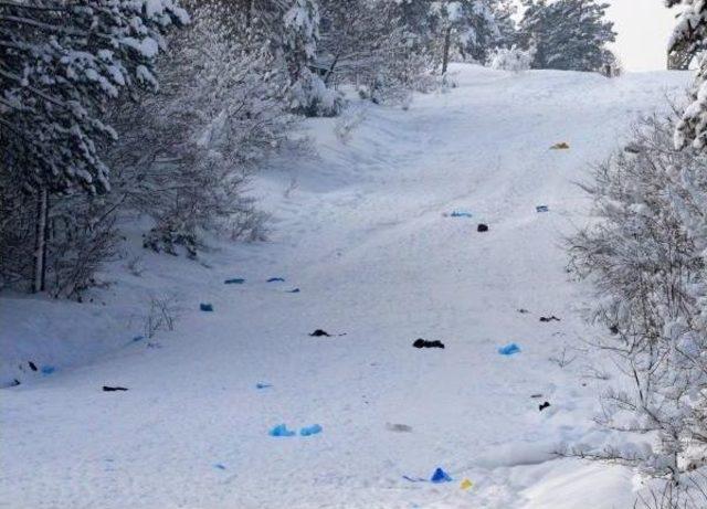 Kent Ormanı nın Kayak Sonrası Hali 2