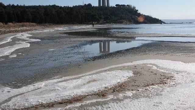 Morto Koyu Buz Tuttu