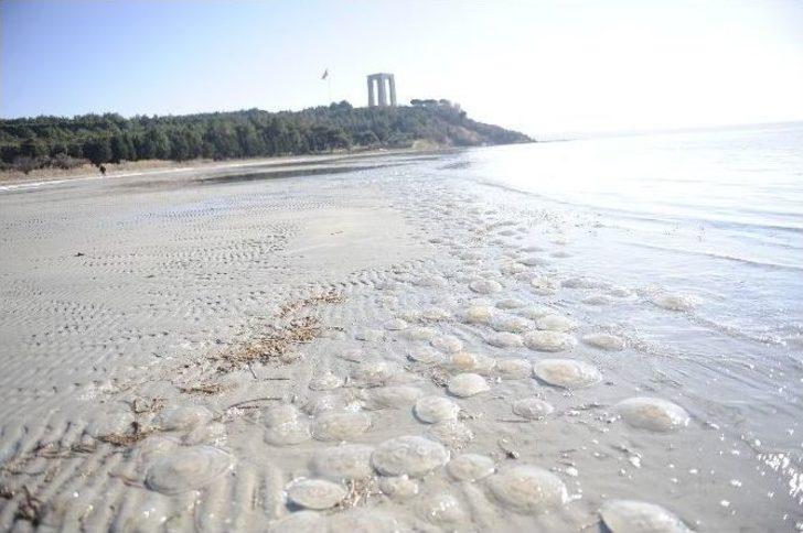 Morto Koyu Buz Tuttu G2