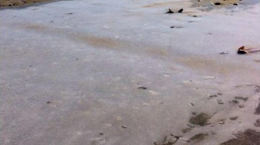 Adana&rsquo;da Sahil Buz Tuttu