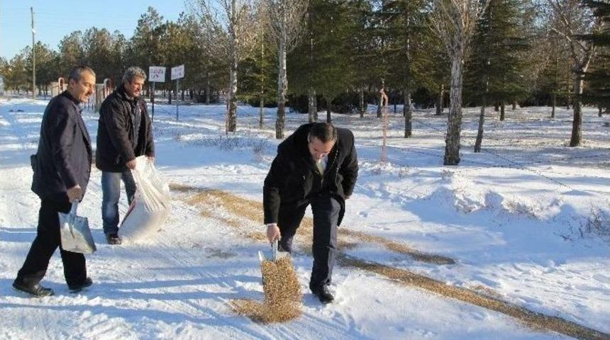 Cihanbeyli Belediyesi&rsquo;nden Kuşlara Yem