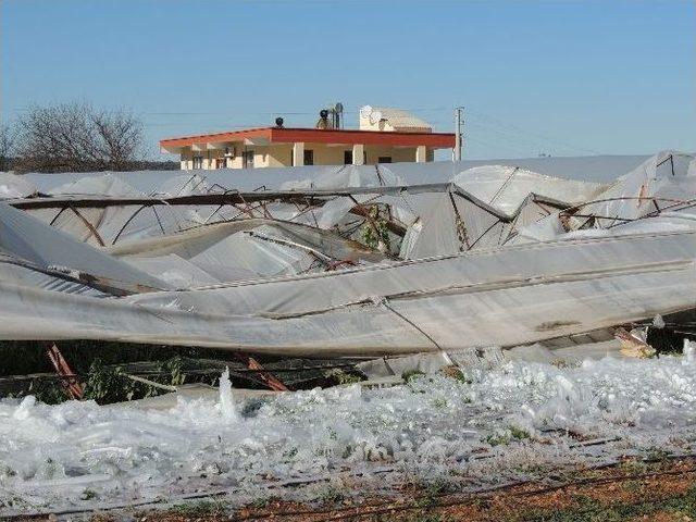 Başkan Şahin Don Nedeniyle Seraları Çöken Çiftçileri Ziyaret Etti 1