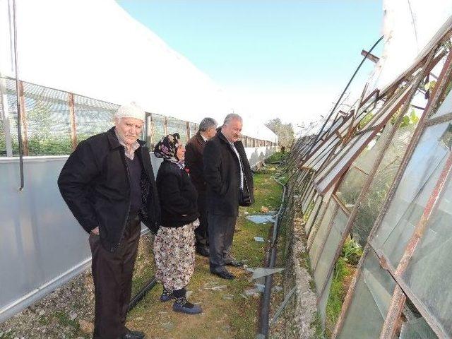 Başkan Şahin Don Nedeniyle Seraları Çöken Çiftçileri Ziyaret Etti 2