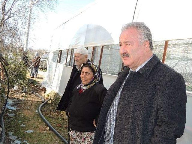 Başkan Şahin Don Nedeniyle Seraları Çöken Çiftçileri Ziyaret Etti 3