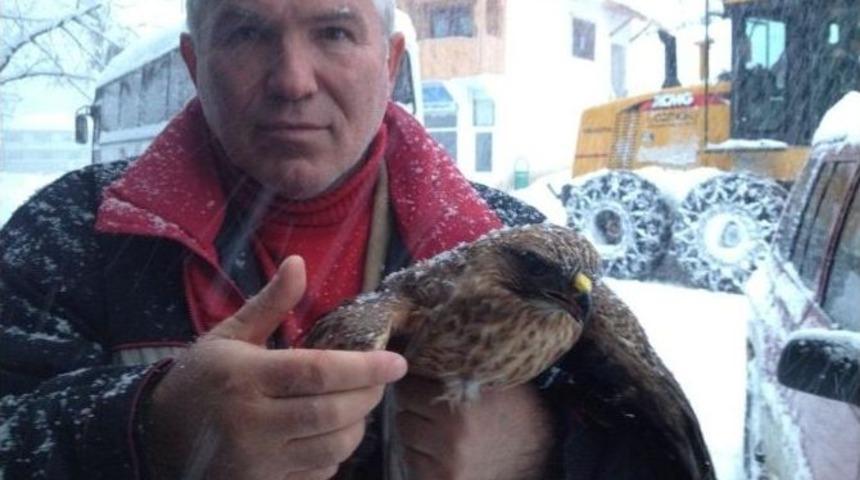 Yaralı Doğan’a Şefkat Eli