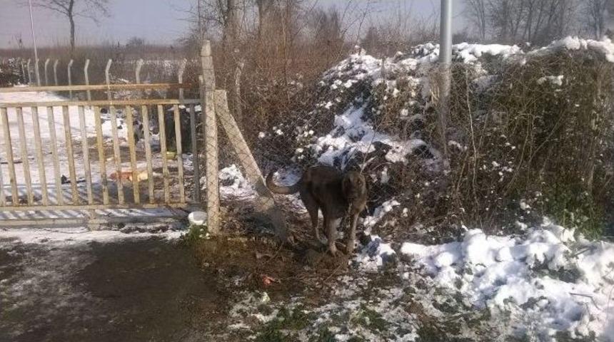 Bursa&rsquo;da İnsanlık Ayıbı