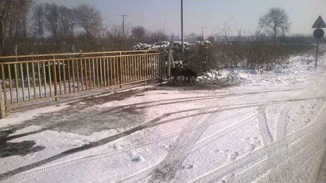 Bursa&rsquo;da İnsanlık Ayıbı 3