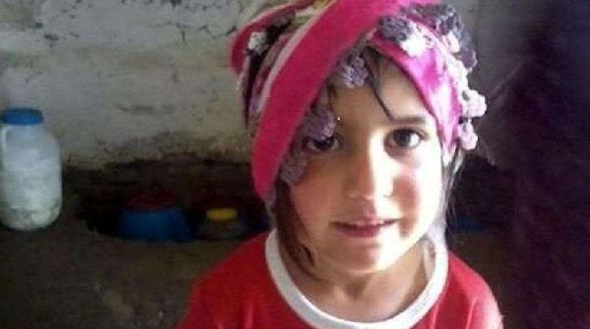 Kayıplar Elden Ele Gezecek; Kayıp Nehir'in Fotoğrafı Da Market Poşetlerinde