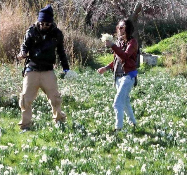 Bodrum da Baharı Andıran Görüntü 1