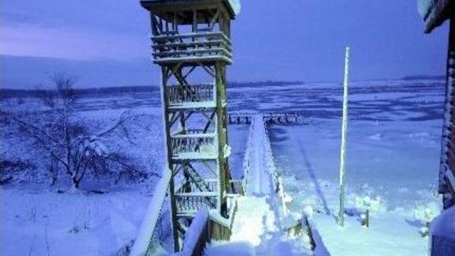 Efteni Gölü Buz Tuttu