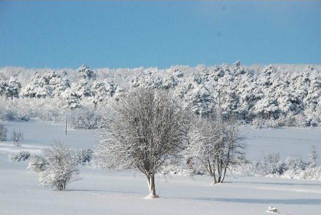 Tokat’tan Kar Manzaraları