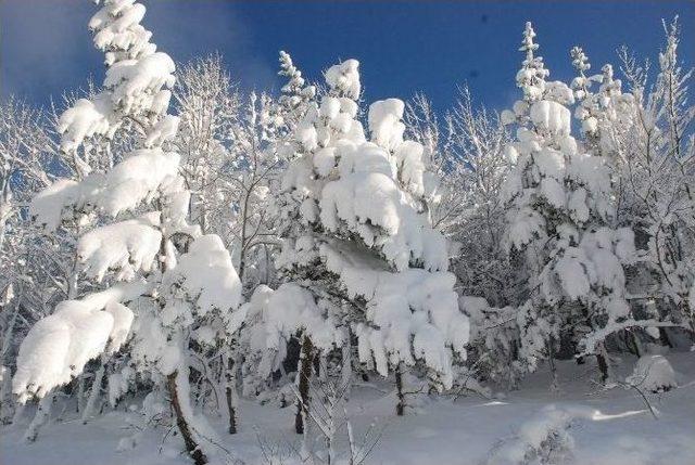 Tokat’tan Kar Manzaraları