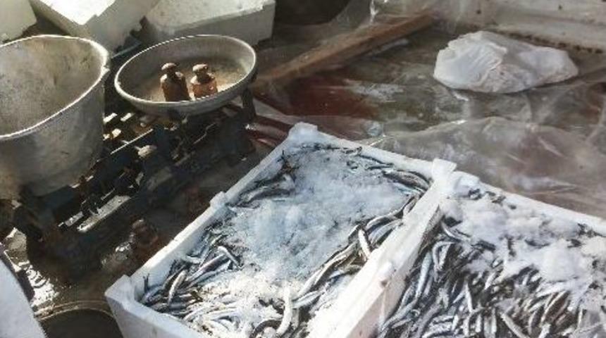 Sincan Belediyesi Zabıta Ekiplerinden Balık Operasyonu