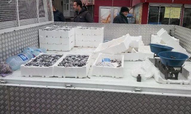 Sincan Belediyesi Zabıta Ekiplerinden Balık Operasyonu 2