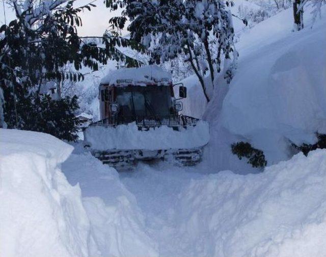 Rize'de Mahsur Kalan 3 Kişiye Havadan Gıda Ve Yakacak Atıldı