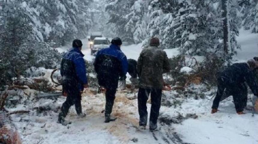 Kar Yağışı Bolu Dağı'nda Ulaşımı Etkiliyor (6)