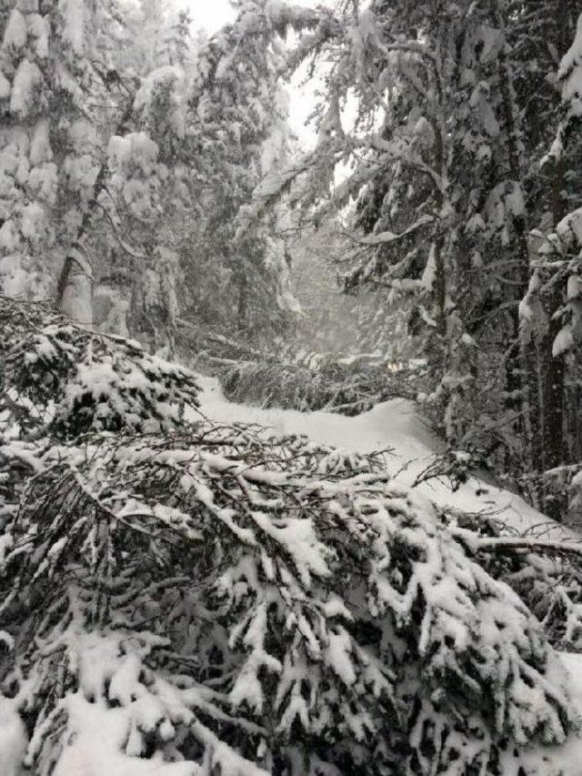 Kar Yağışı Bolu Dağı'nda Ulaşımı Etkiliyor (6)