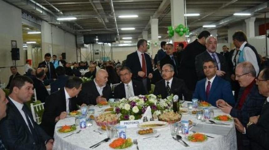 G&ouml;me&ccedil;'e 15 Milyon Liralık Zeytinyağı Yatırımı