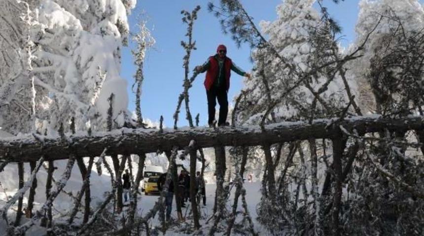 Uludağ'da Karakış Hasarı; 200'e Yakın Ağa&ccedil; Devrildi