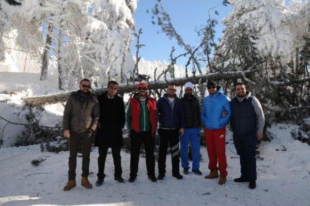 Uludağ da Karakış Hasarı; 200 e Yakın Ağa&ccedil; Devrildi 3