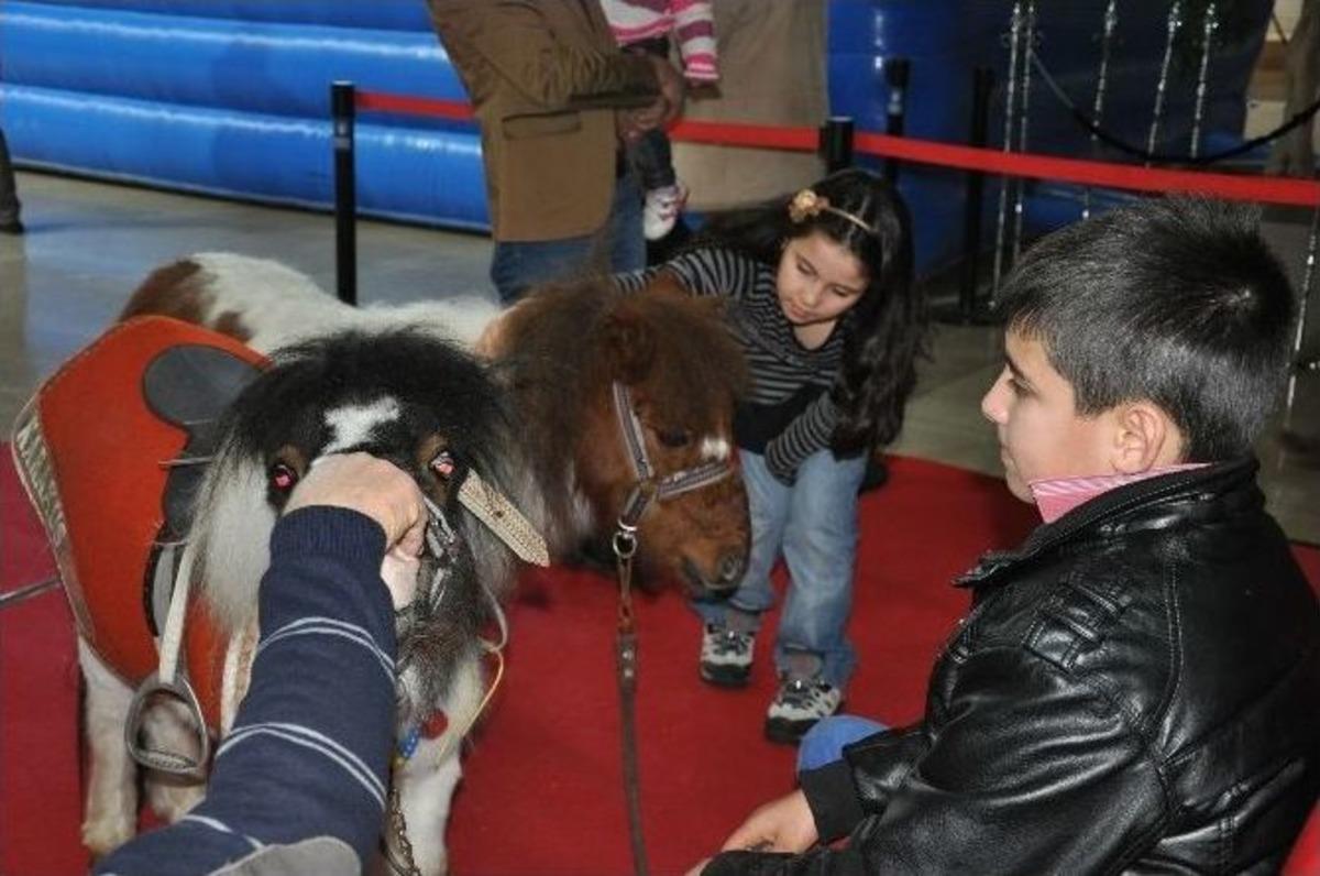 Binted Ailesinden &Ccedil;oşkulu Buluşma