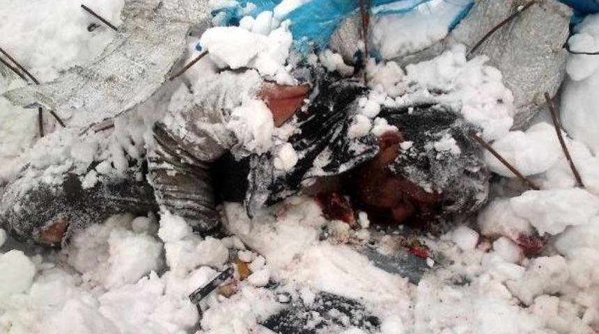 &Ccedil;aykara'da &Ccedil;ığ Faciasında 4 Iş&ccedil;iyi Kurtarmak I&ccedil;in Zamanla Yarışılıyor